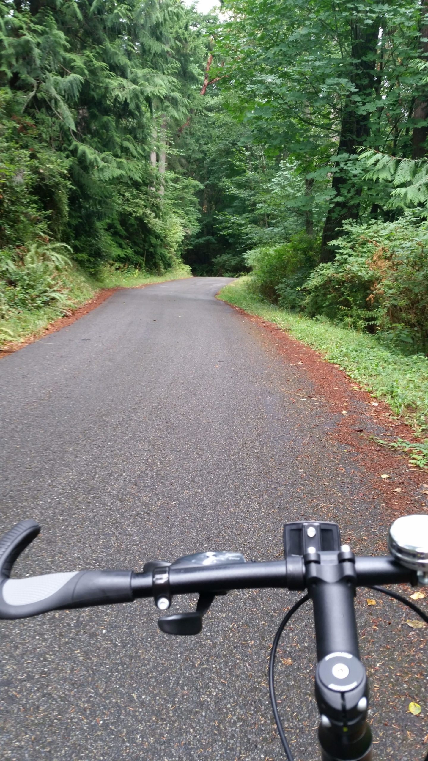 Biking-Vashon_Burma-rd | Vashon Maury Island