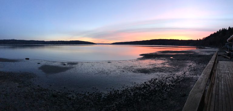 25D345B3 9DD6 4823 A8EE F56AE1904FAD 768x366