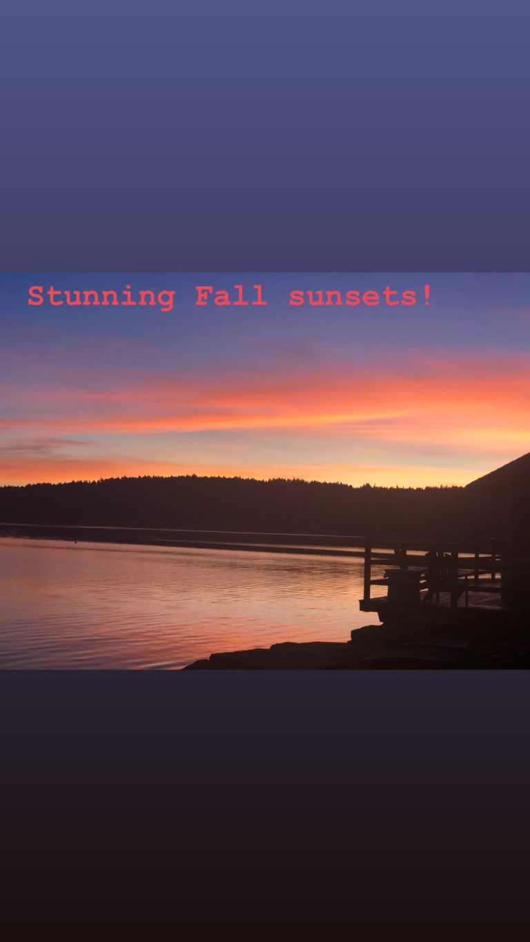 973AD6EA D378 475B 9FE6 66264B19890B 768x1365