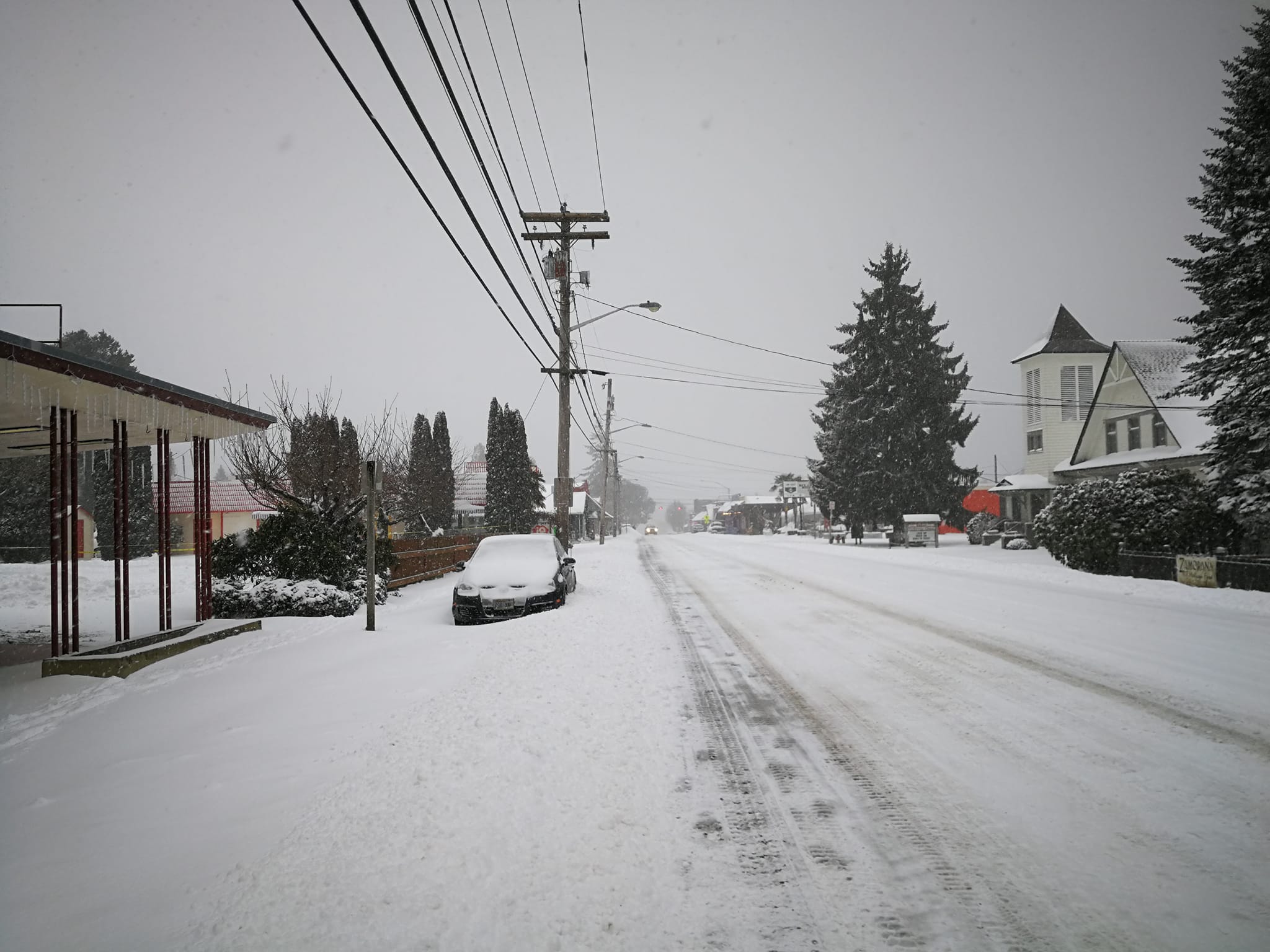 Vashon for the Holidays