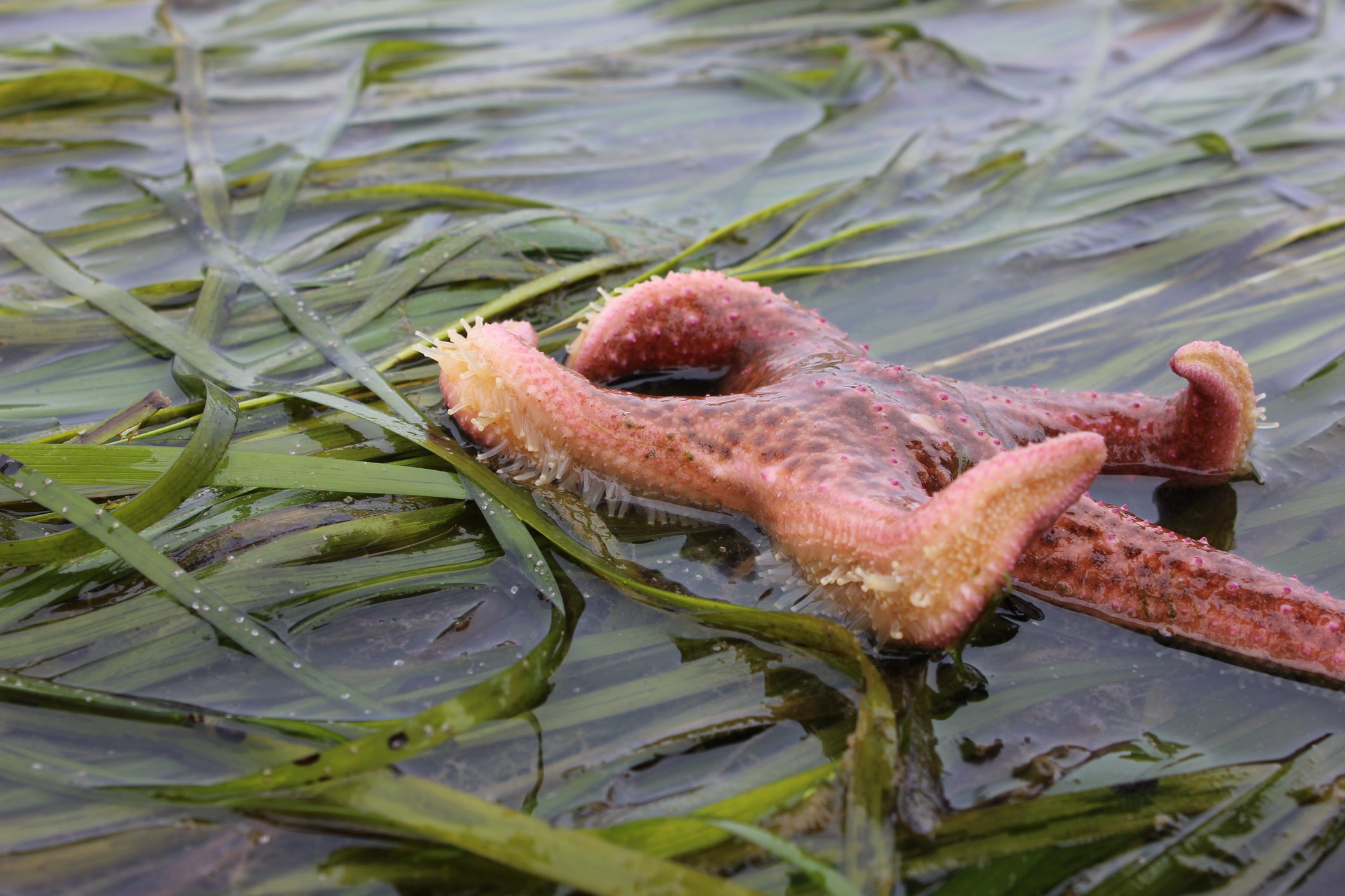 Vashon Island Tide Schedule for April Plan Your Visit