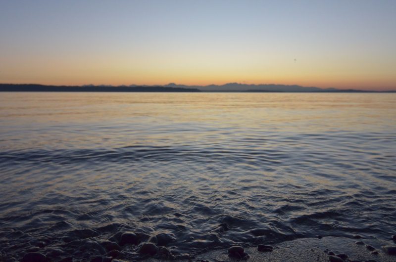Vashon Island's May Tide Times Ideal for Beach and Marine Plans