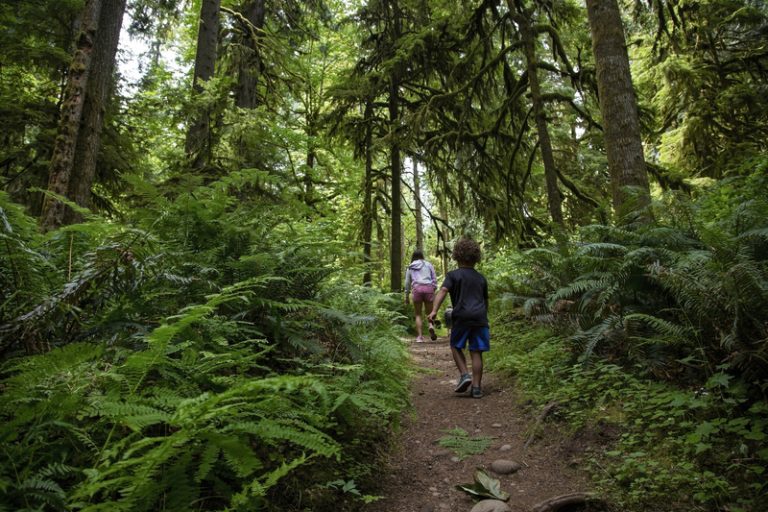 hiking Island center forest 768x512