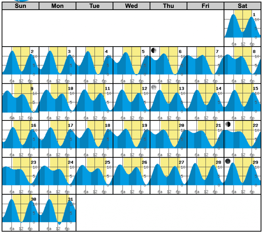 March Tide Schedules on Vashon Island Prepare for Your Visit