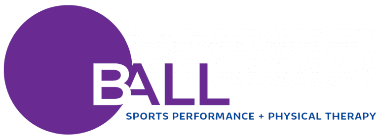 logo color full 768x281