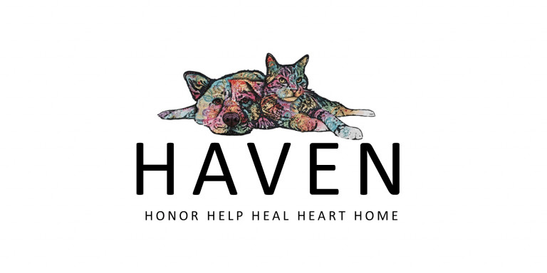 haven 768x384