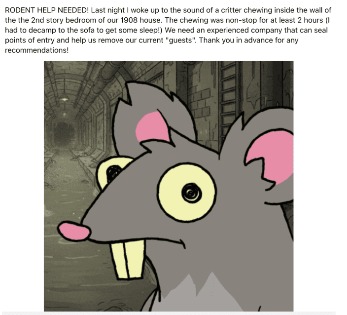 image | Vashon Maury Island Cartoon gray rat with pink ears and buck teeth peering from a dark sewer tunnel, illustrating a rodent problem.