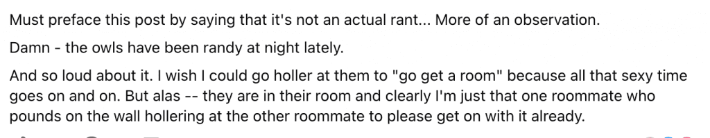 Screenshot of a post complaining about noisy owls at night, joking that someone should tell them to 'go get a room.'