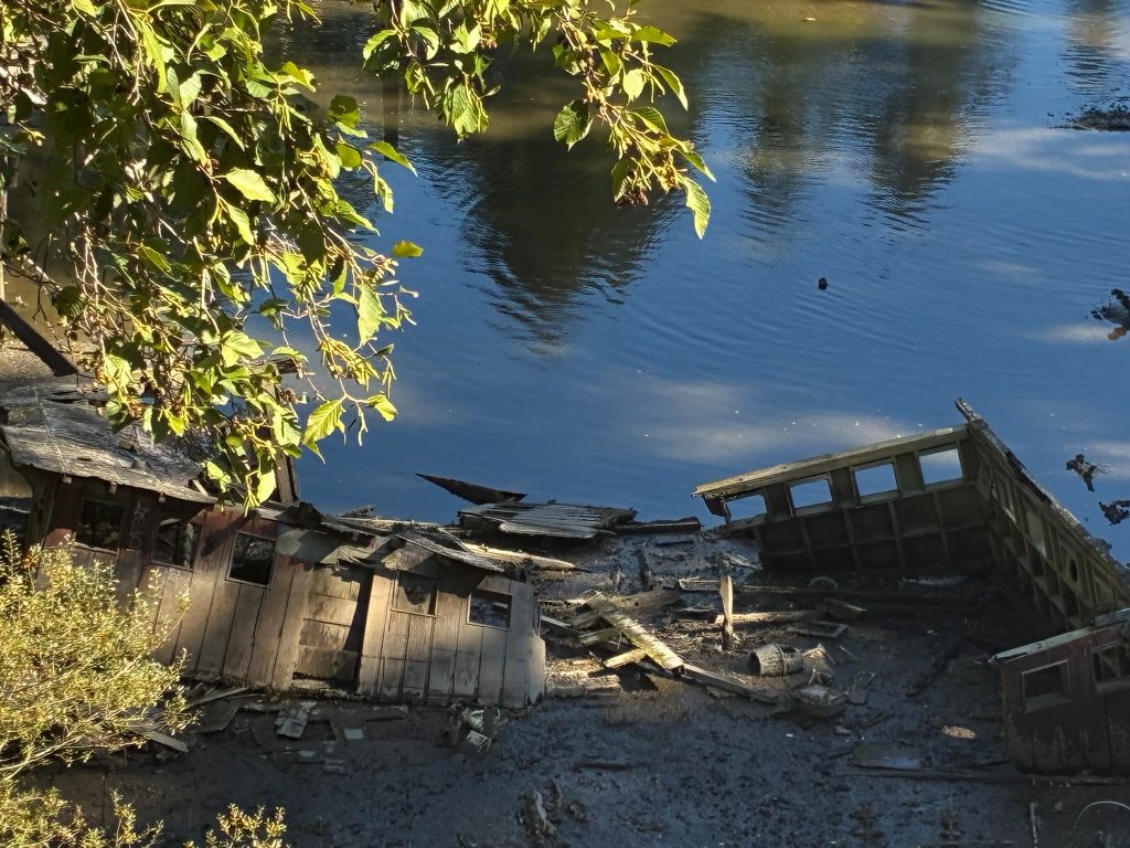 Post-fire riverside: burned, collapsed wooden buildings with rubble along the shore, green leafy branches overhead.