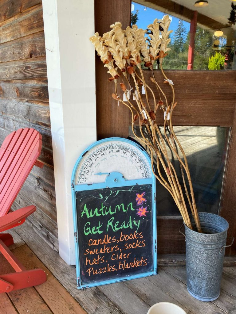 Fall-Country-Store-exterior-door-sign | Vashon Maury Island Dried decorative plant stems lean against a wooden wall next to a blue, round chalkboard sign listing Autumn Get Ready items like candles, books, sweaters, and blankets.