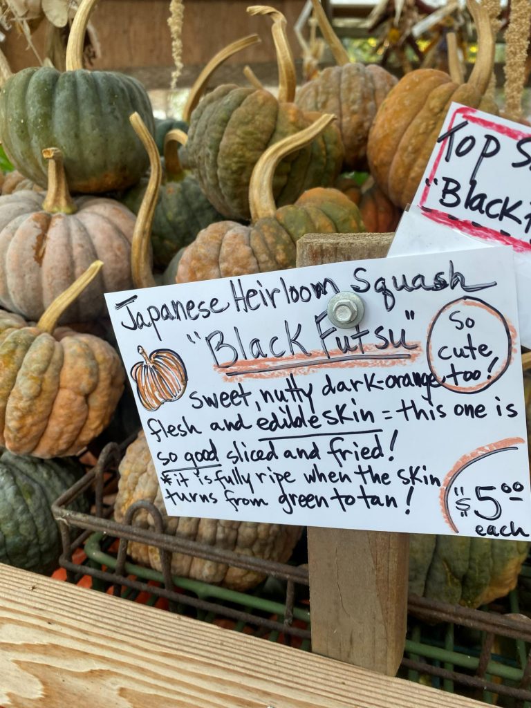 Delicious heirloom squash | Vashon Maury Island Pile of small to medium pumpkins in green and orange hues stacked on a market display, with handwritten signs advertising Japanese heirloom squash and prices. Langley Fine Gardens farm stand in Dockton Vashon Island Maury Island Washington